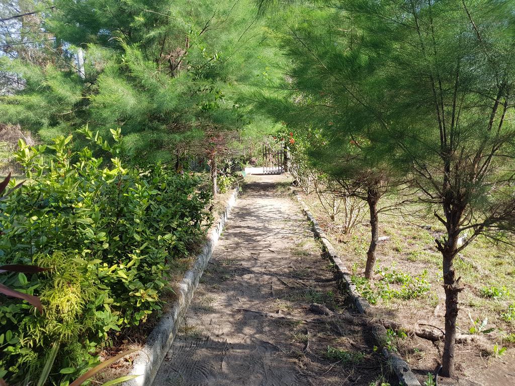 Sasak Island Bungalows 길리메노 외부 사진